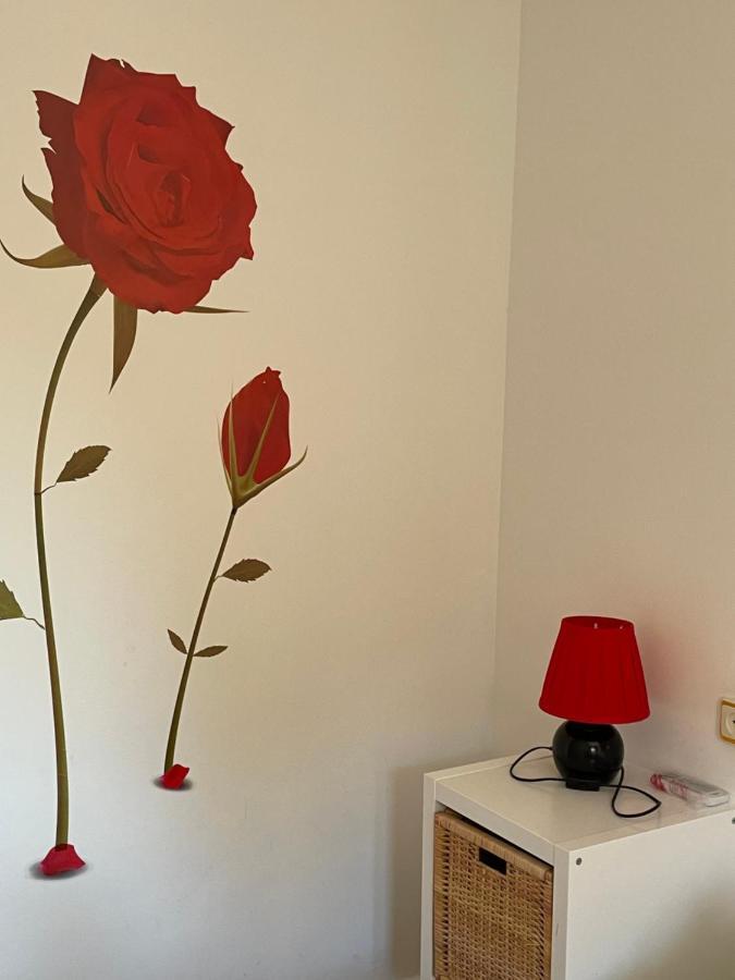 Apartamento Beatriz Cuenca  Dış mekan fotoğraf
